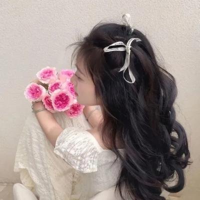 外交秘闻 海报